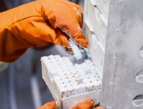 Datenanalyse auf höchstem Niveau – Forschungskooperation mit CBH.bio